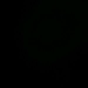 Meet your Posher, Yesenia